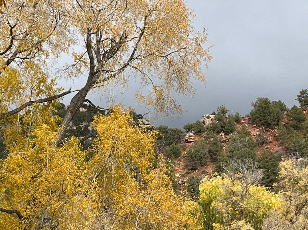 Rifle Falls State Park-Rifle必去景点
