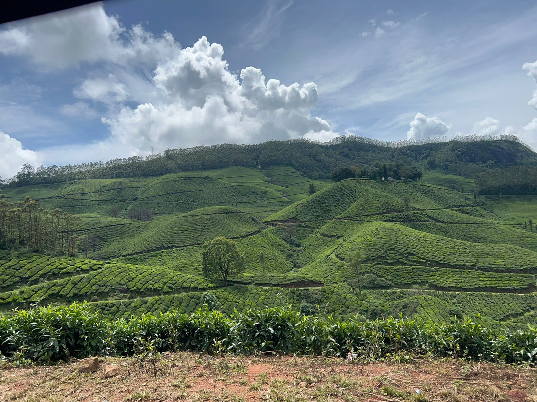 Munnar Travel Planners景点图片