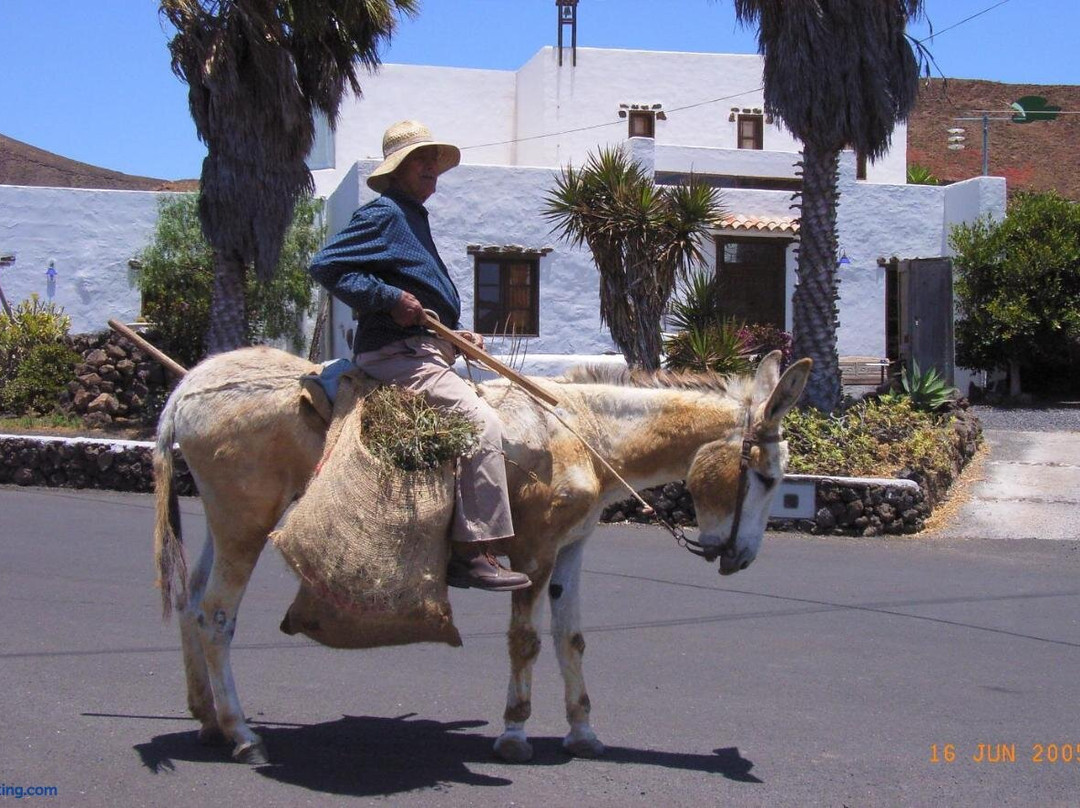Finca Lanzarosy