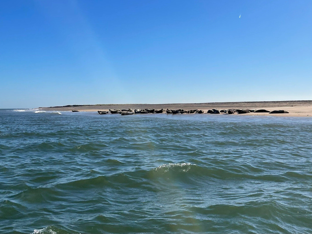 Ptarmigan Blakeney Point Seal Trips-布莱克尼必去景点