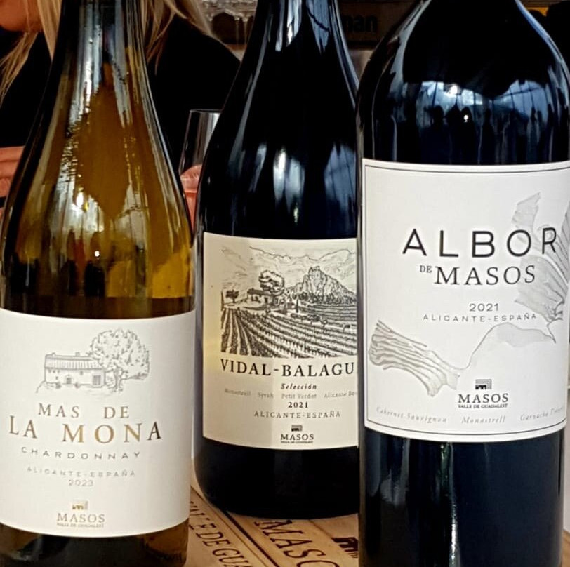Bodega Masos Guadalest景点图片