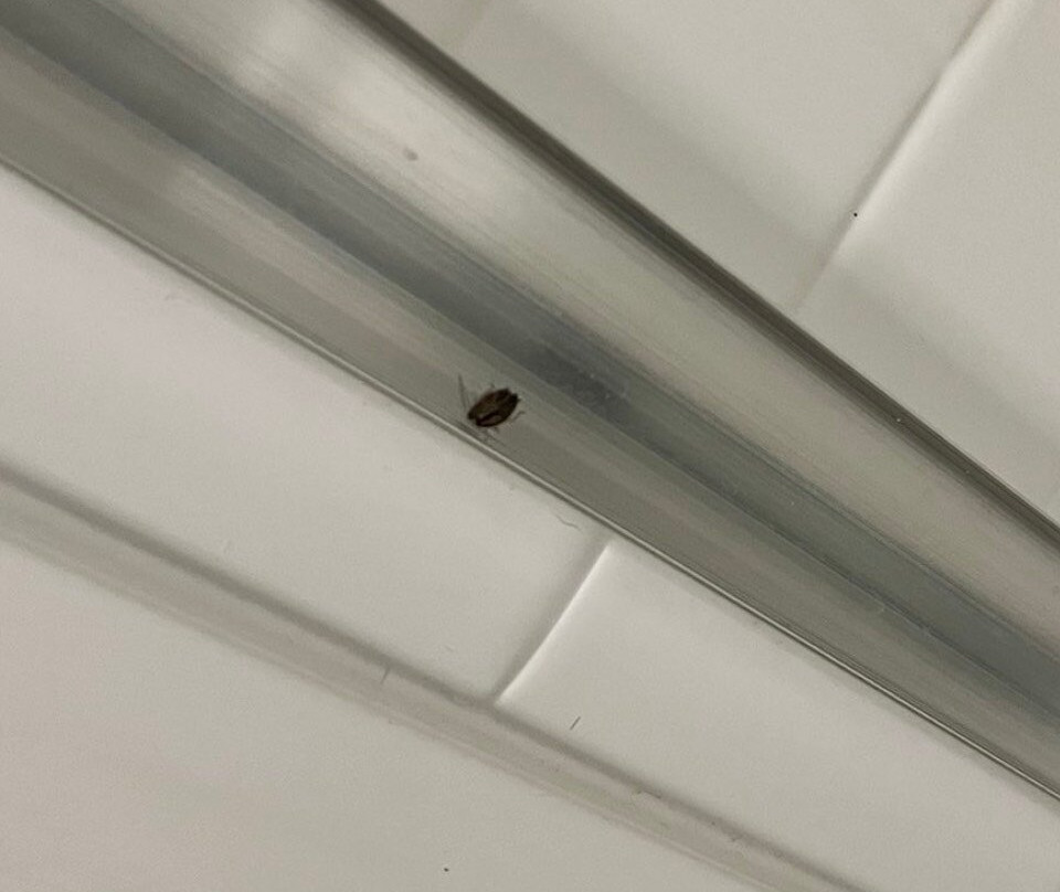 Staybridge Suites Corona South By IHG主图