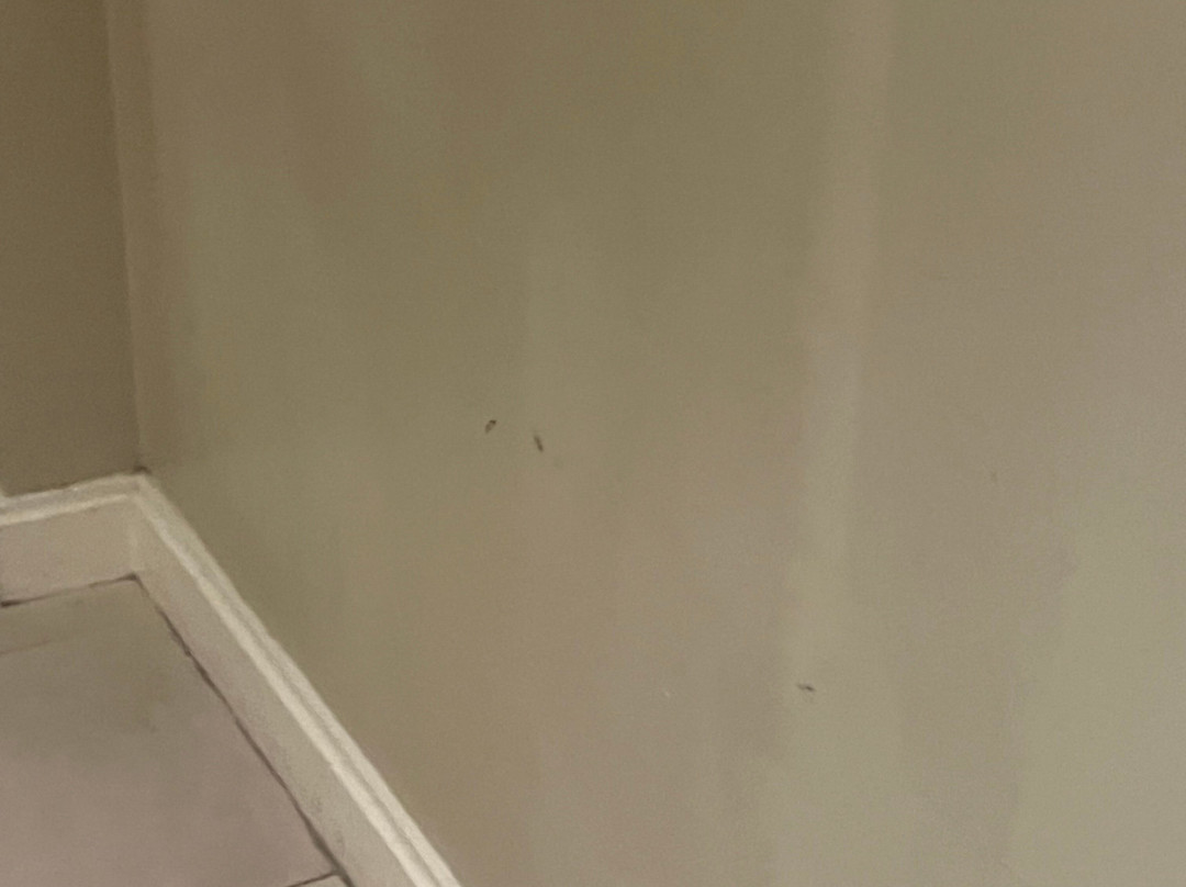 The Lodge at Hammock Beach主图