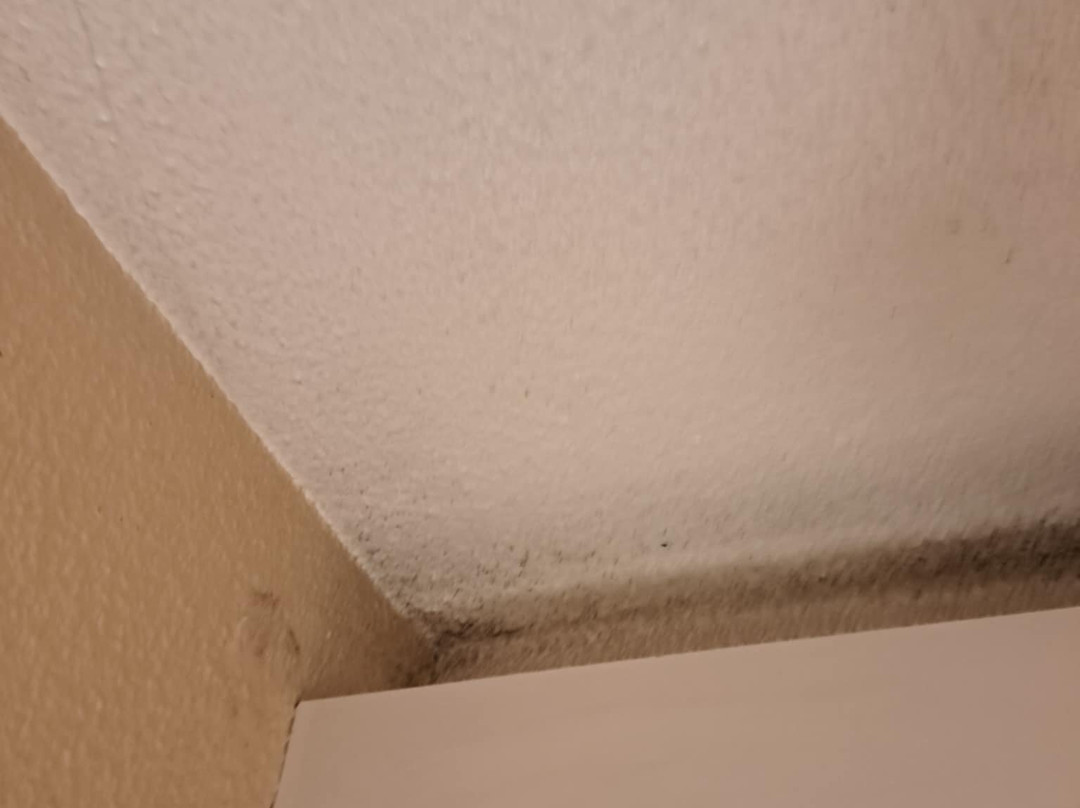 B&b Hotel Niort Sud Venise Verte主图