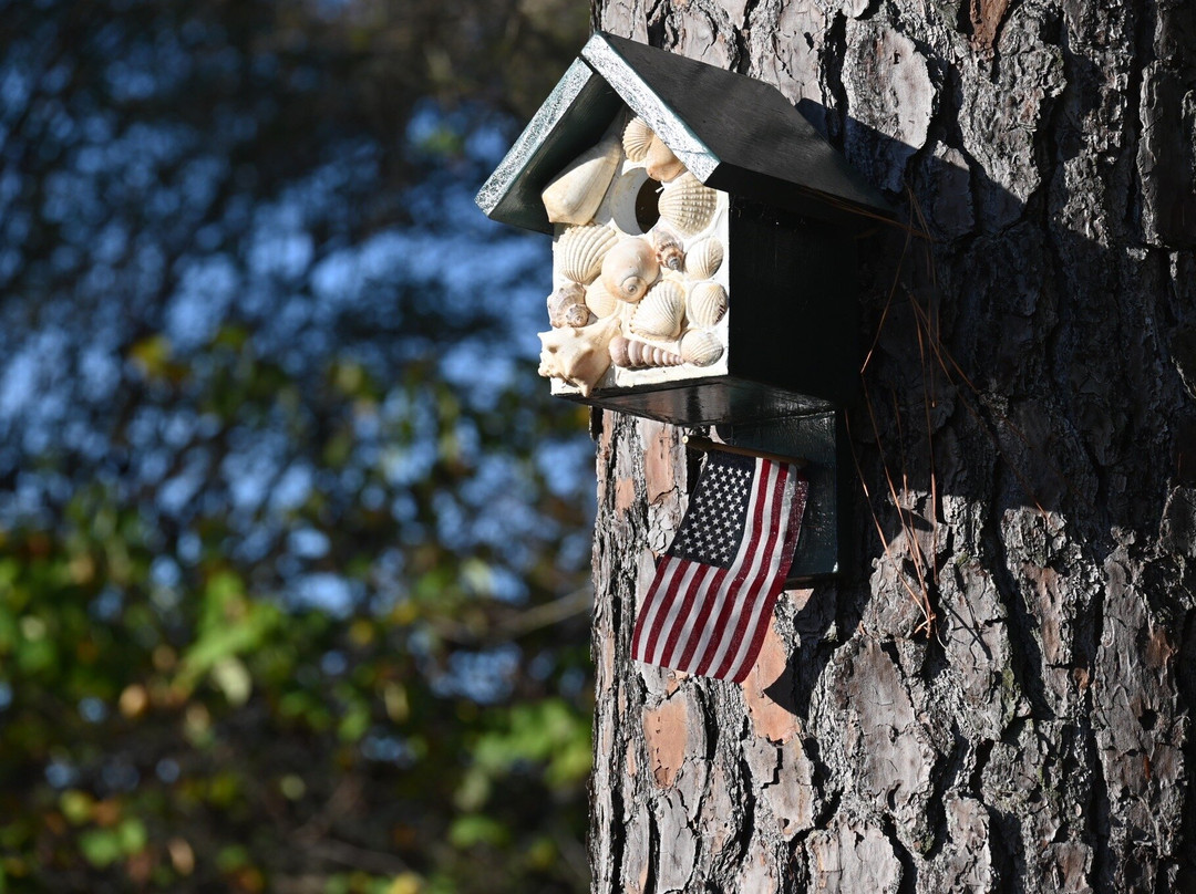 TPC Myrtle Beach-默勒尔斯因莱特必去景点