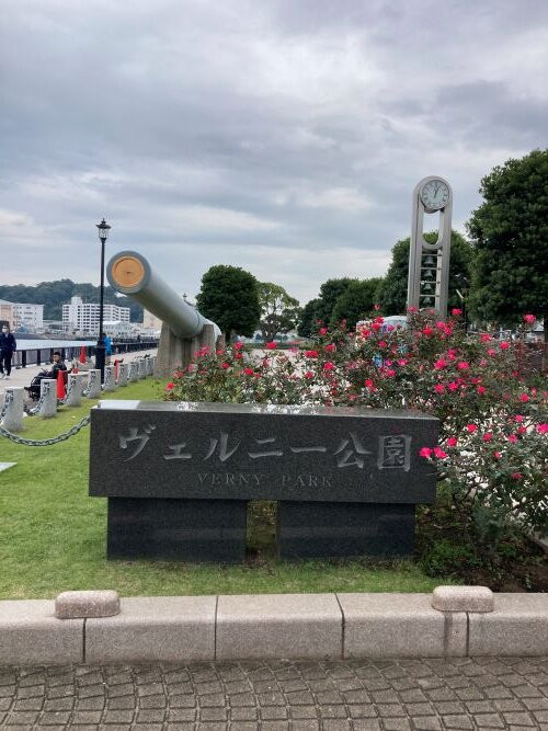 Verny Park景点图片