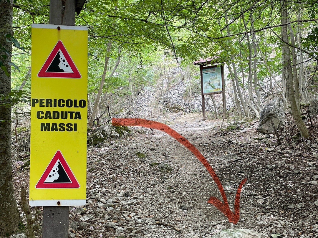 Riserva Naturale Gole del Sagittario景点图片