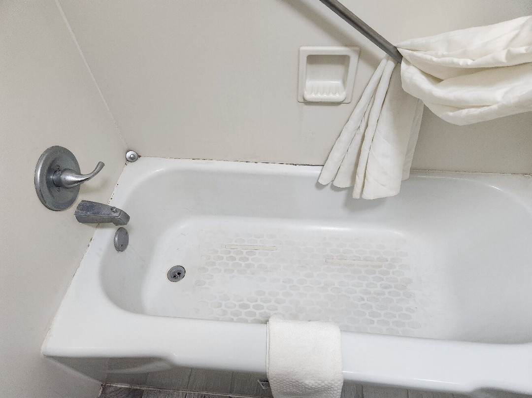 Quality Inn & Suites Brooksville I-75 / Dade City主图