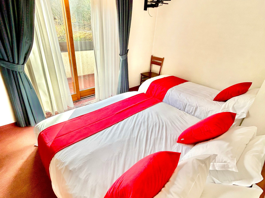 Bb La Nigritella主图