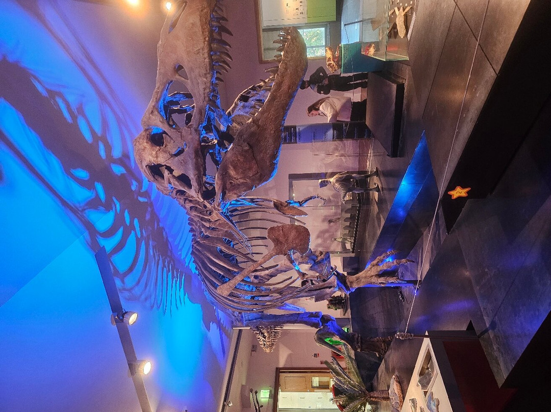 Great North Museum: Hancock景点图片