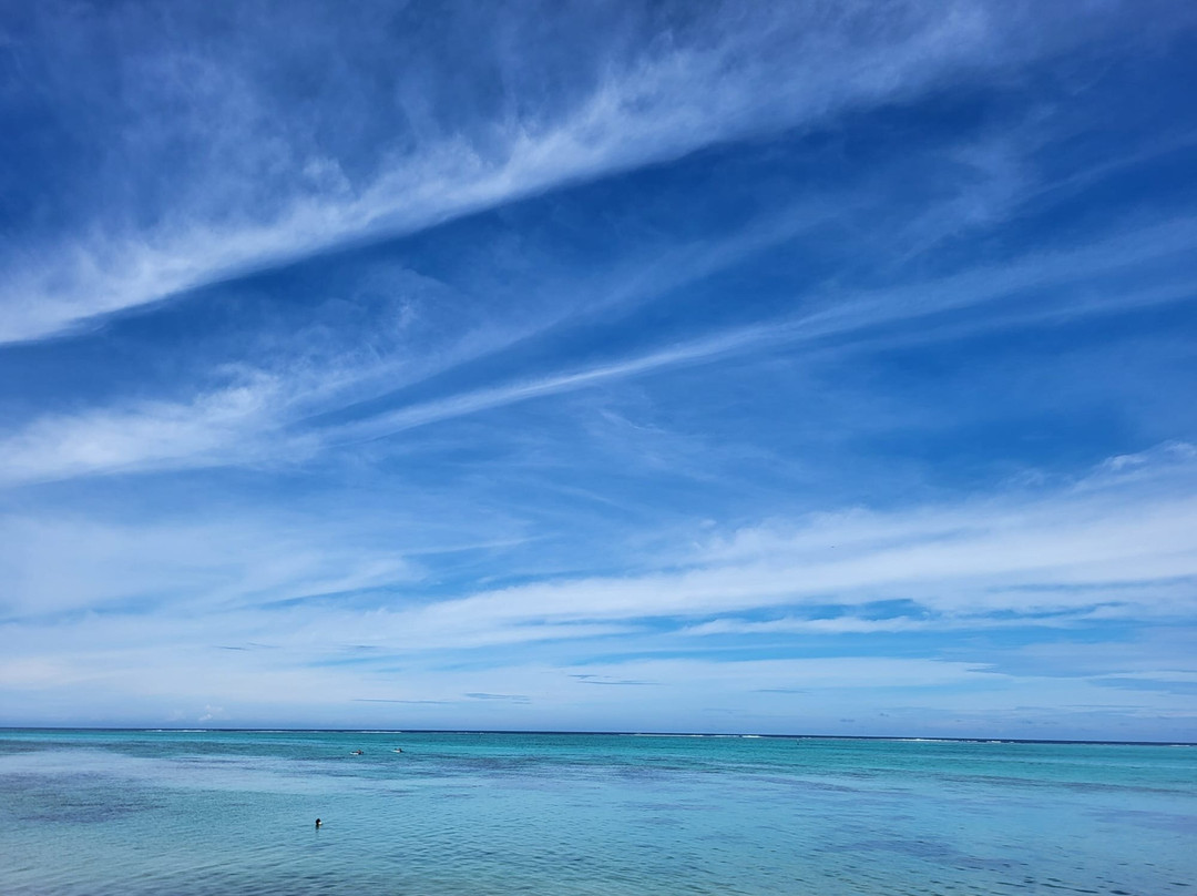 Moorea Fun Dive-Hauru必去景点