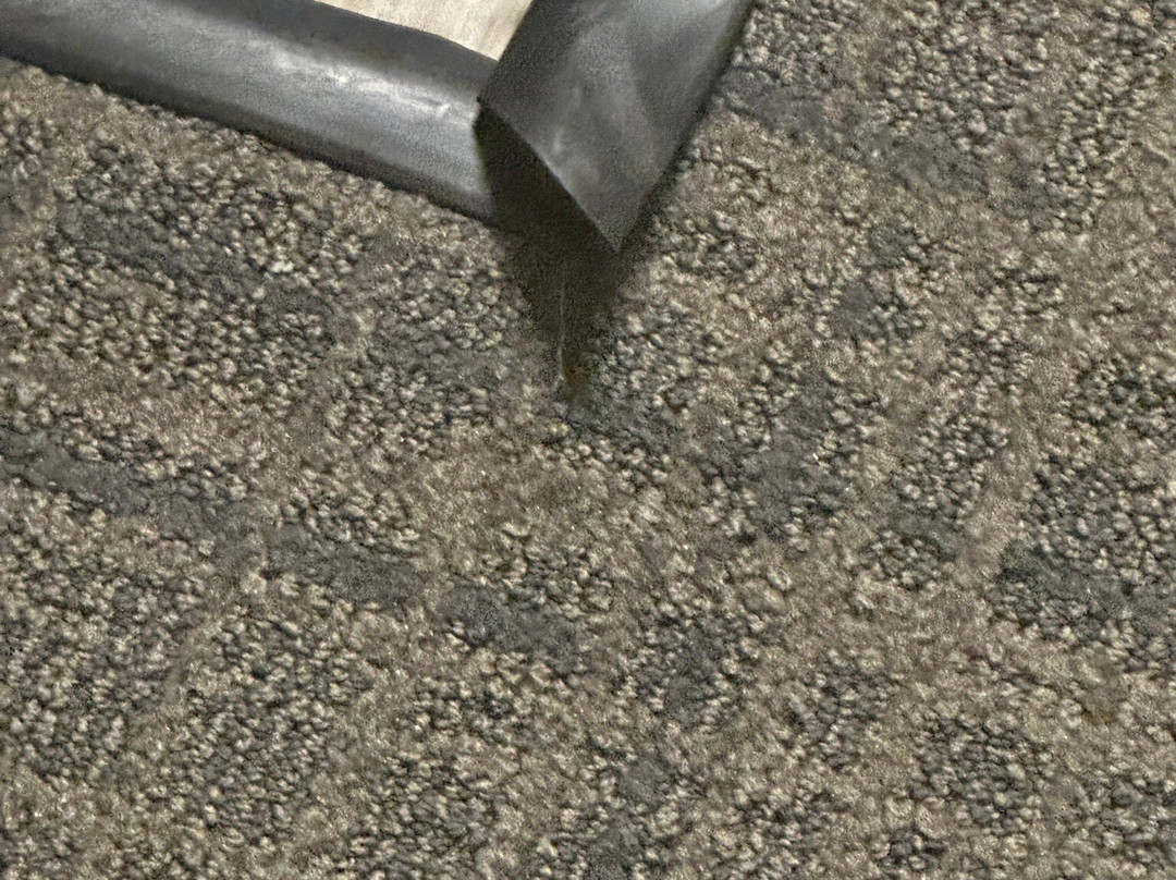 劳德代尔堡SW/米拉马尔原住客栈主图