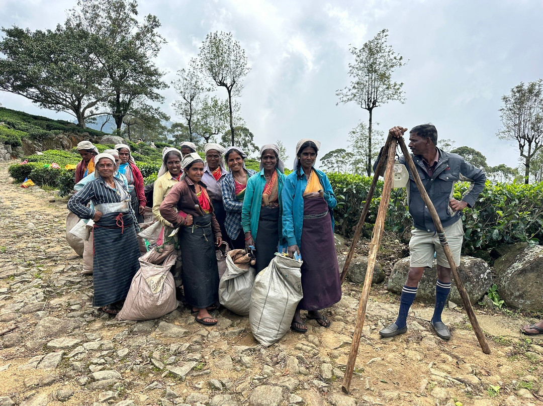 Sri Lanka Trekking Club-班达拉维拉必去景点