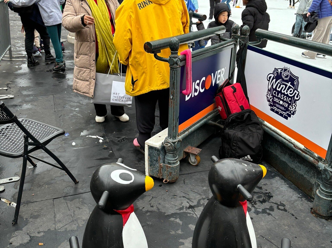 麦琪戴利公园-芝加哥必去景点