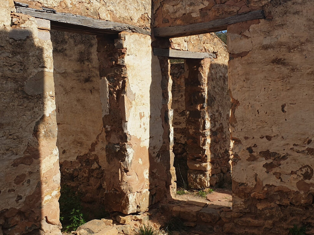 Kanyaka Ruins & Cemetery景点图片