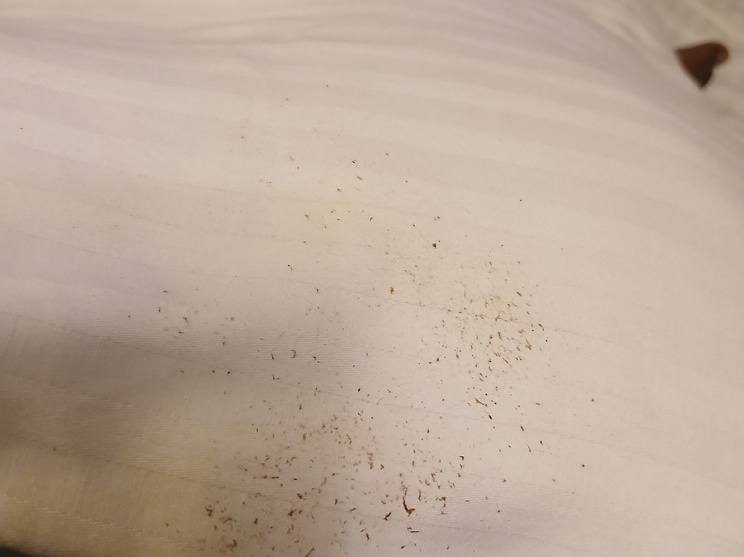 The Smith Hotel主图