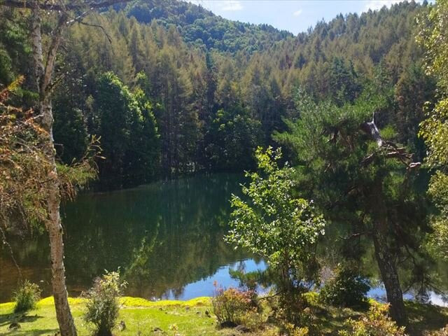 Mishakaike Pond-茅野市必去景点