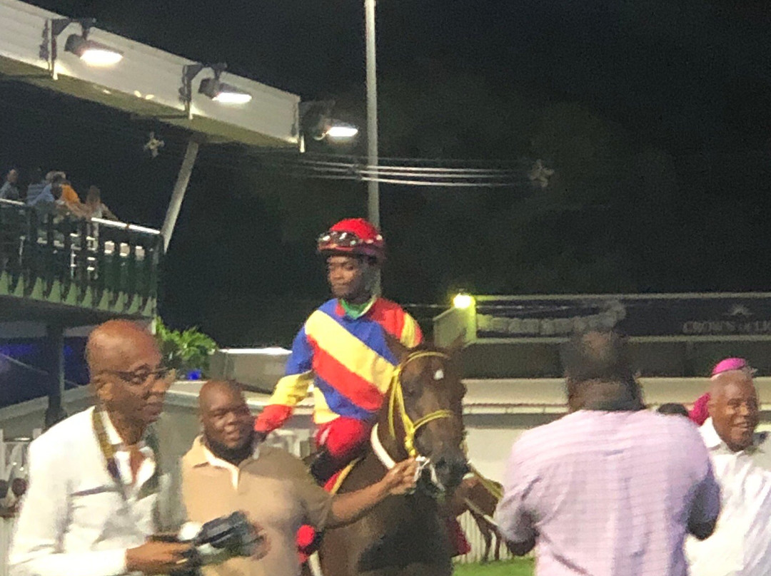 Garrison Savannah - Barbados Turf Club-布里奇顿必去景点