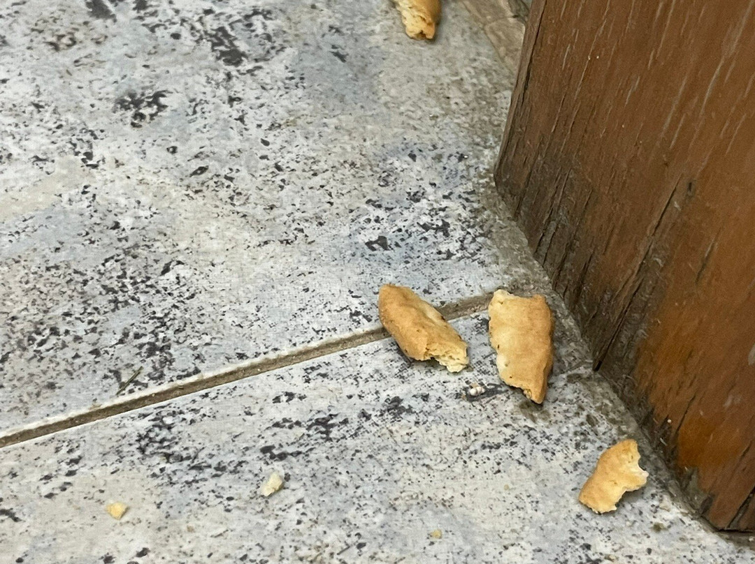 Hotel Carlos I主图