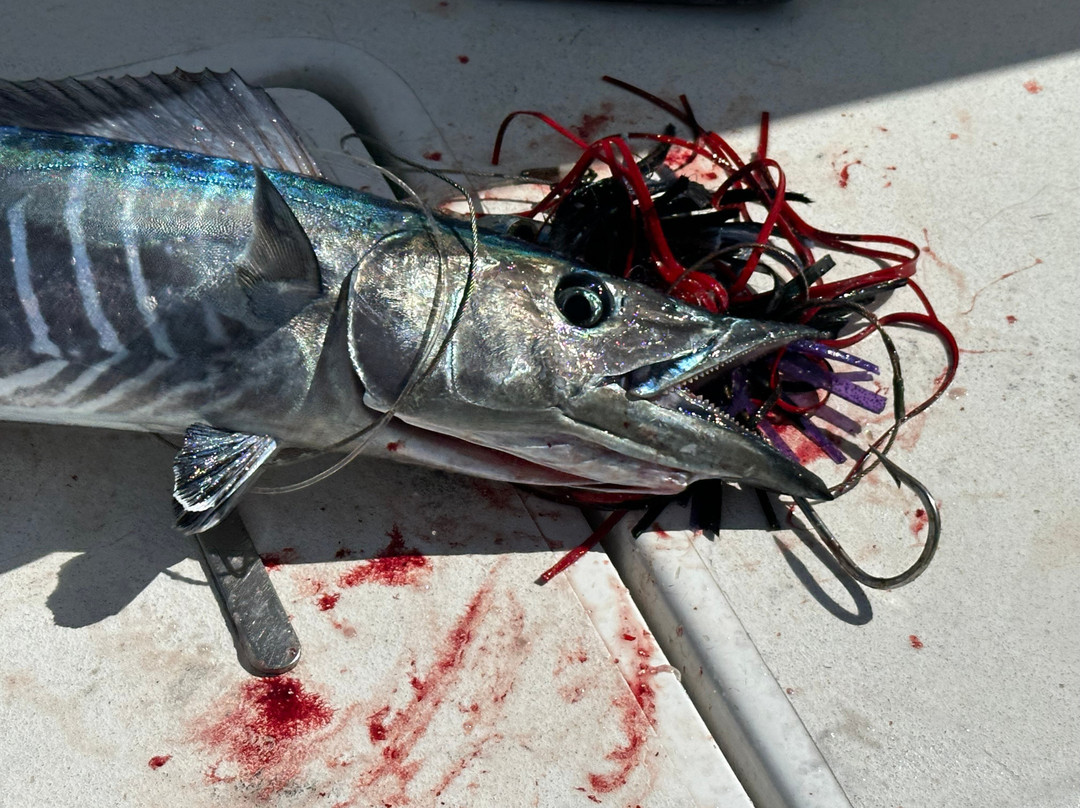 Catchin' Caicos-普罗维登西亚莱斯必去景点