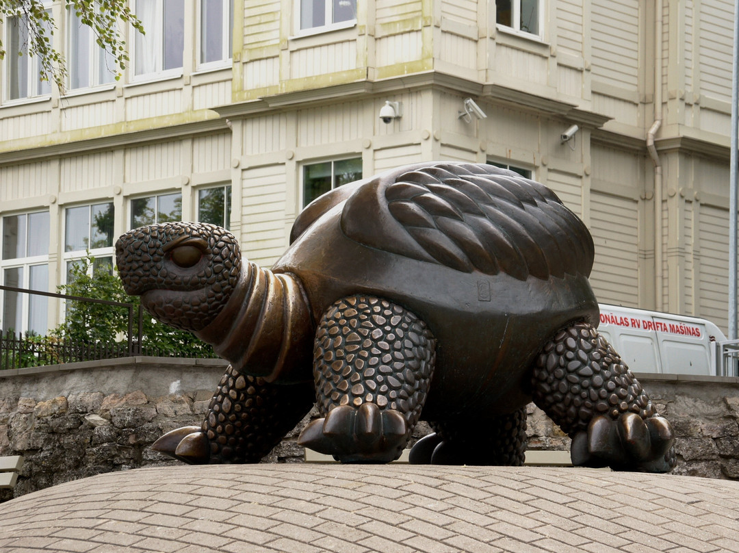 Brunurupucis (The Turtle)-尤尔马拉必去景点