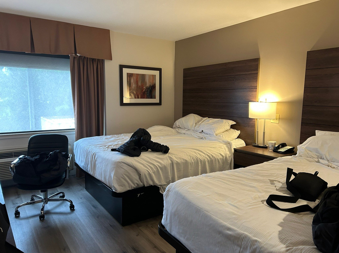 枫树岭贝斯特韦斯特酒店主图