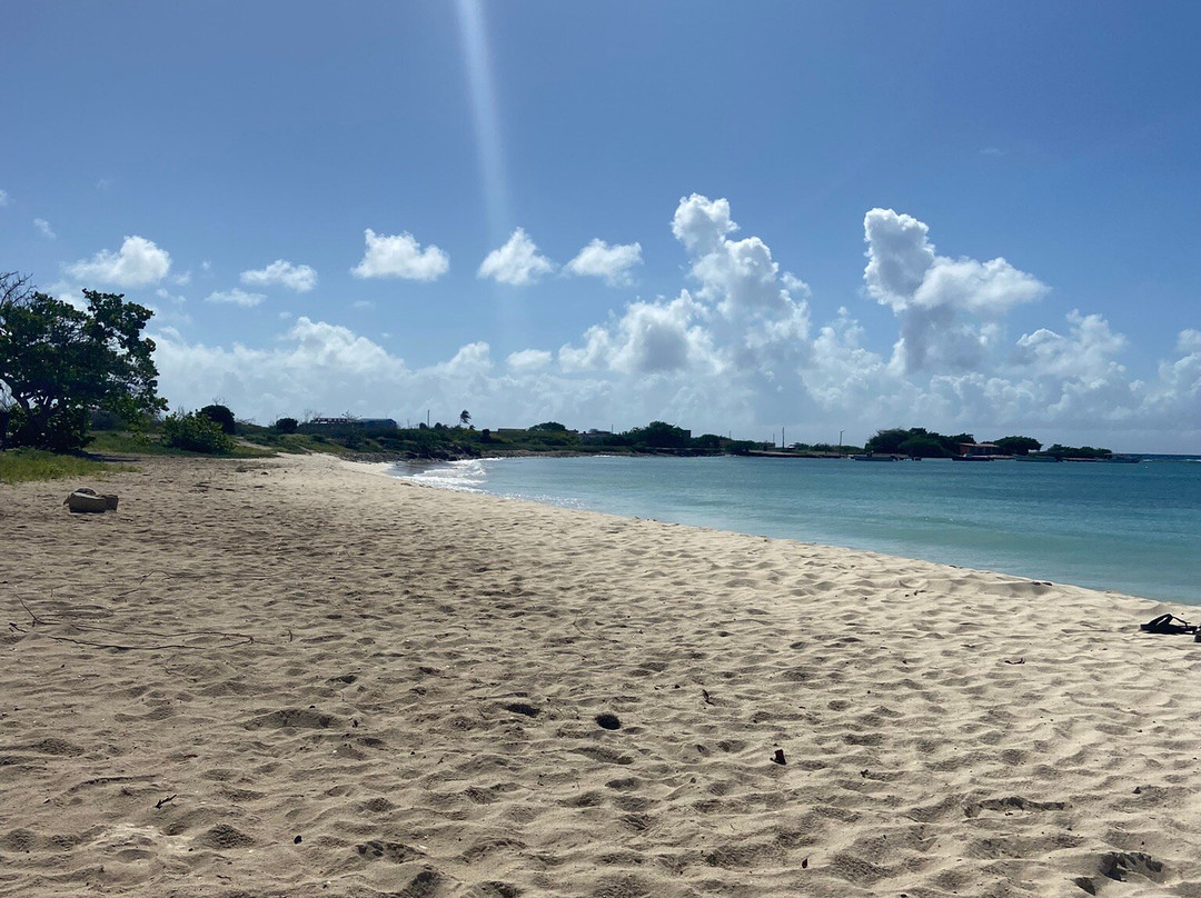 Coconut Rentals Aruba-棕榈/鹰海滩必去景点