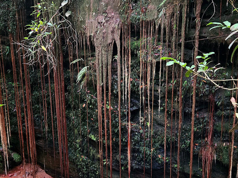 Canindé Ecotour-Palmas必去景点