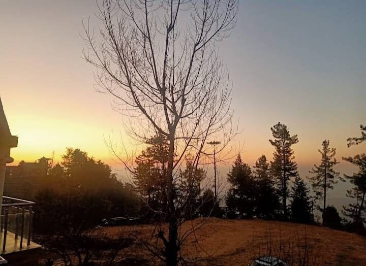 Pine View Hotel主图