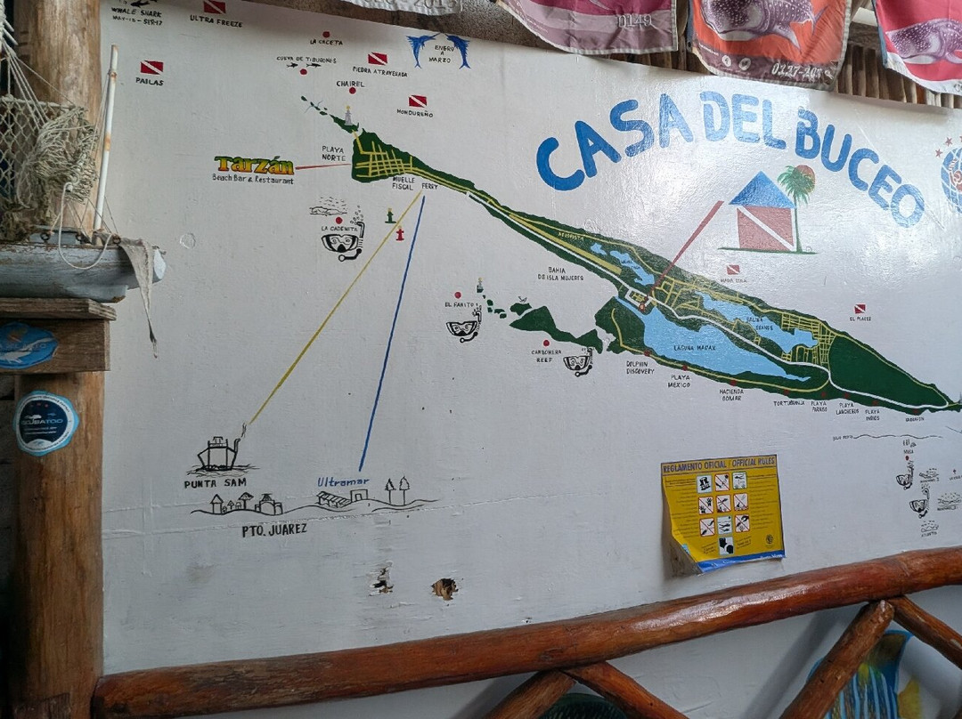 Casa Del Buceo景点图片