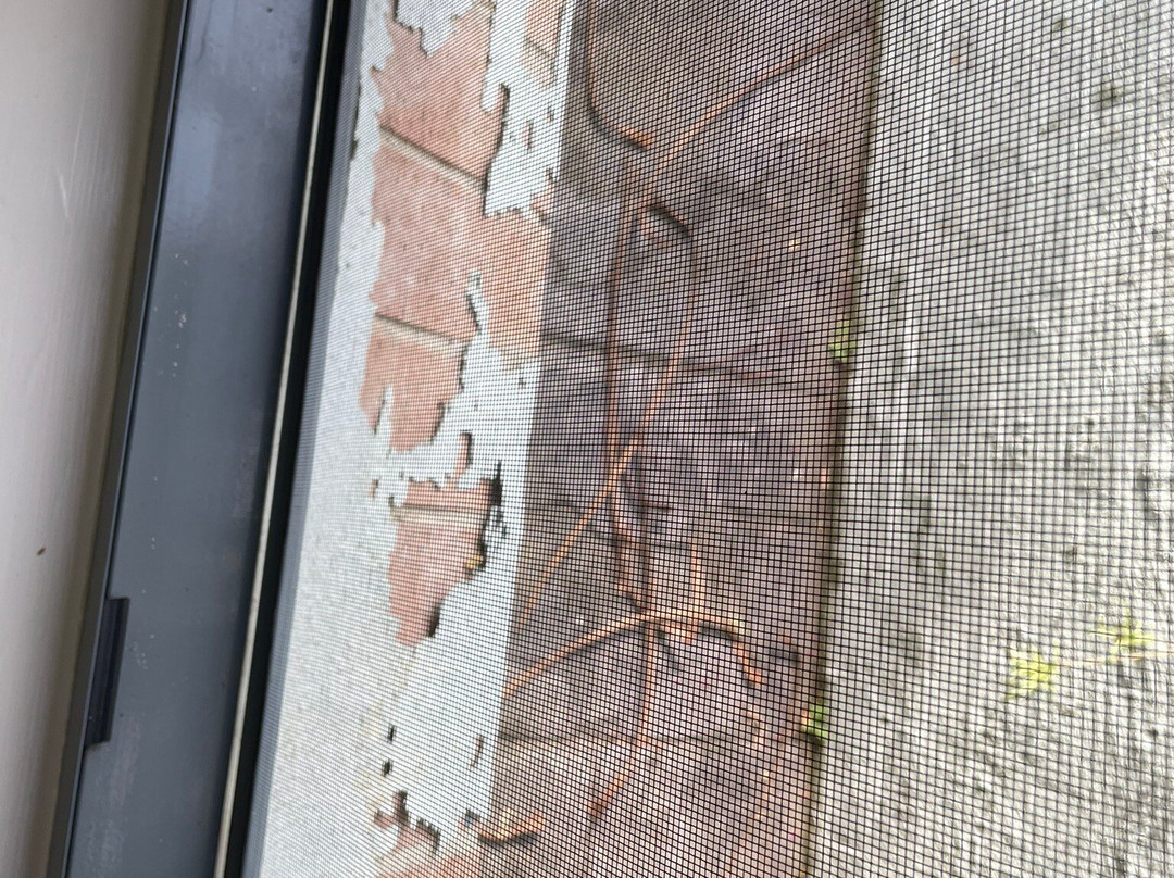 Ceespray on Owen主图