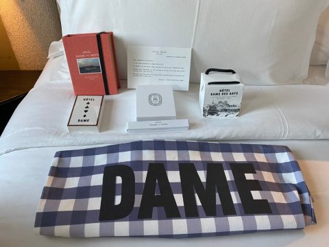 巴黎左岸艺术女士酒店-客卧