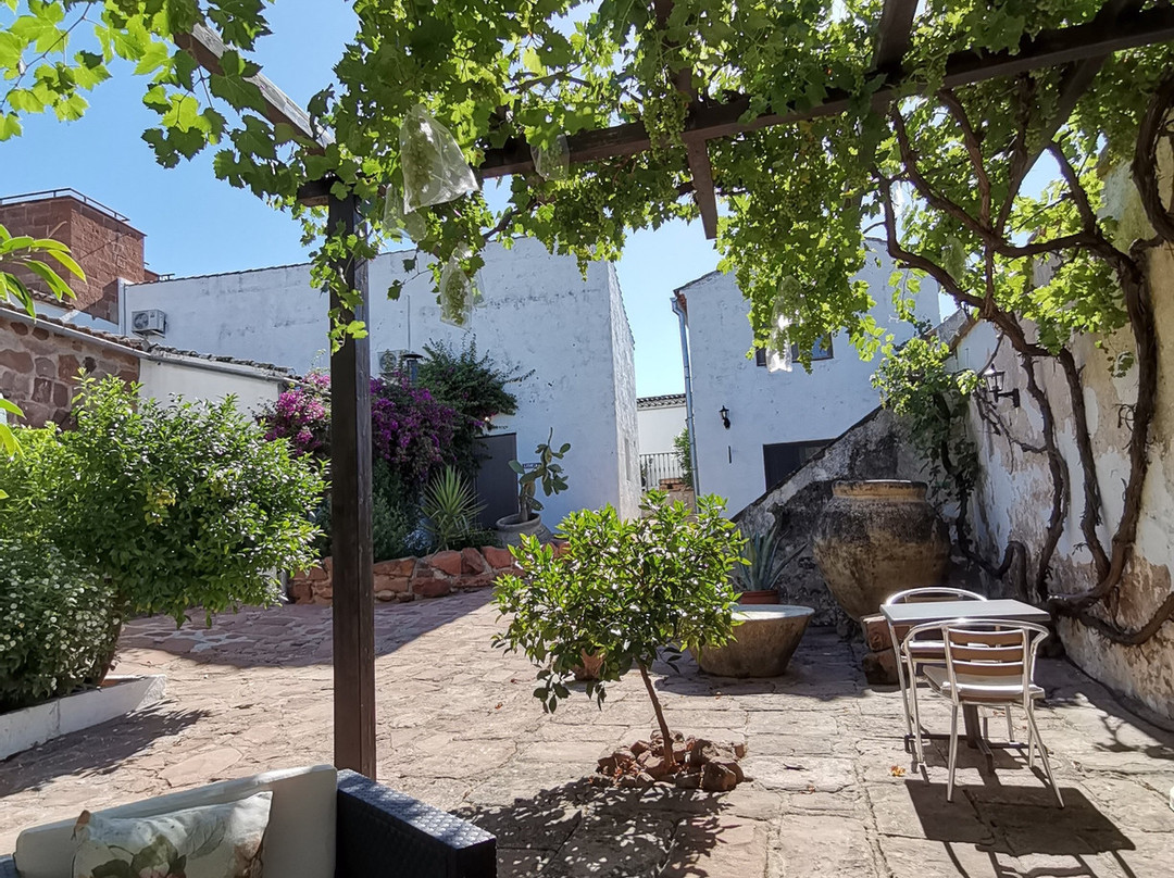 Olivetum Colina主图