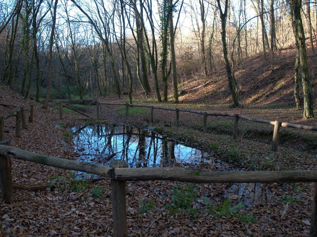 Bosco Chignolo-Triuggio必去景点
