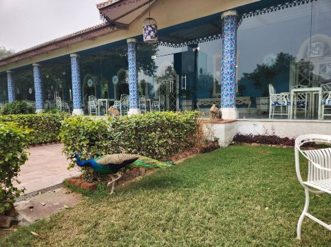 Raj Niwas Palace-官方