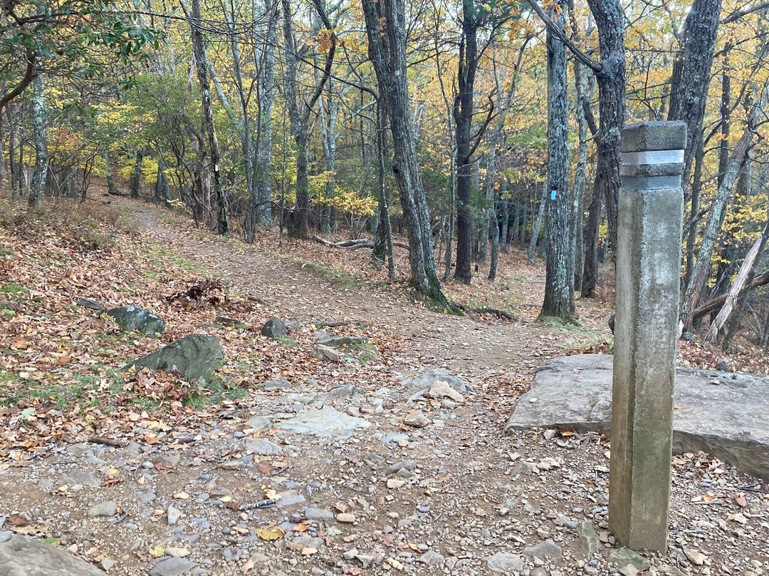 Lewis Falls Trail-雪兰多国家公园必去景点