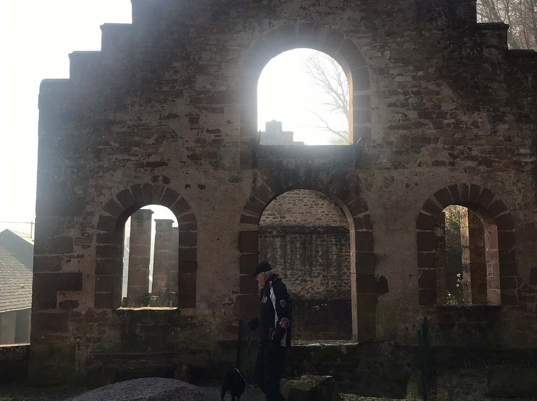 Vestiges des Forges de Jaegerthal景点图片