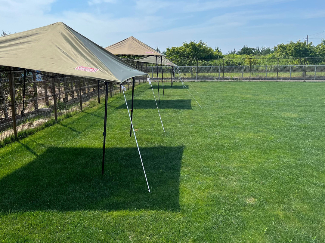 Luana Hasunuma Hotel&cafe主图