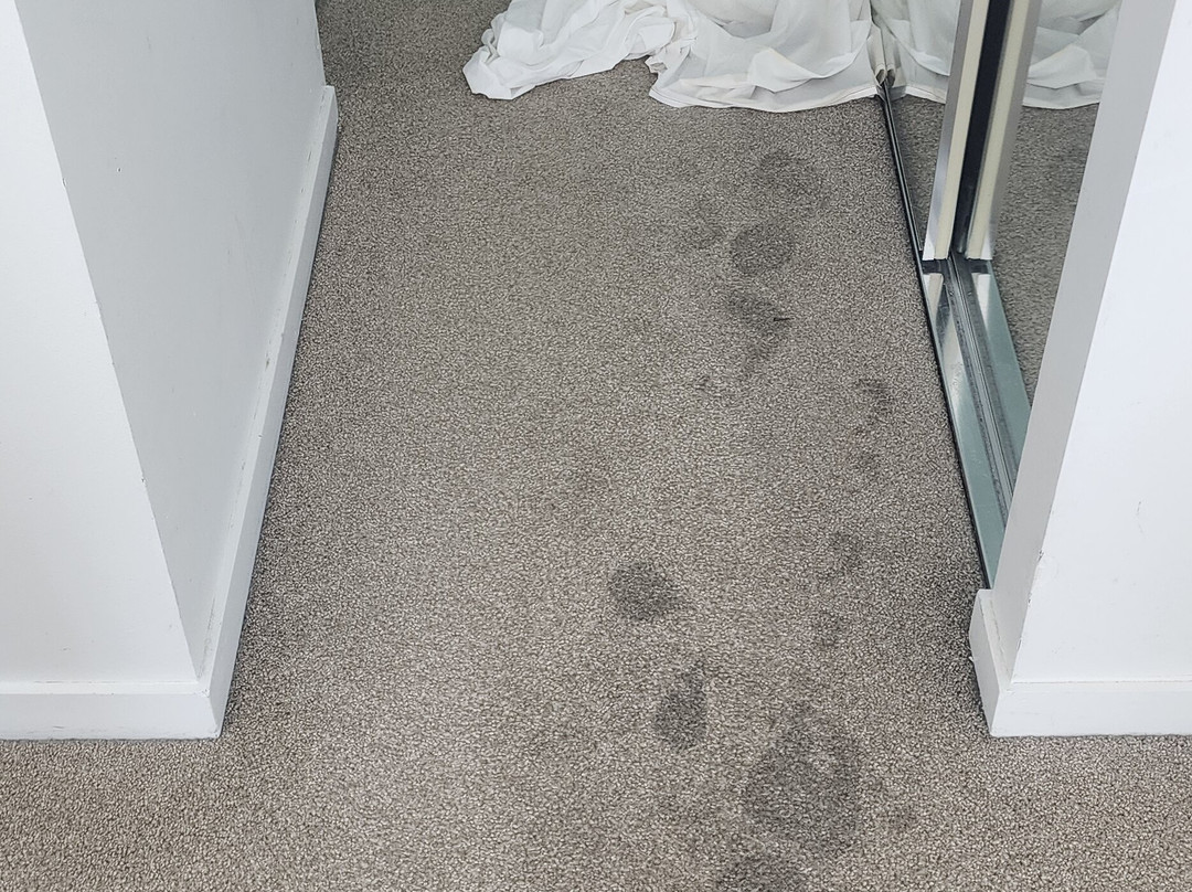 尼瓦纳海滨公寓主图