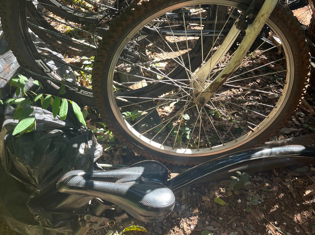 Poco Preto trail-伊瓜苏必去景点