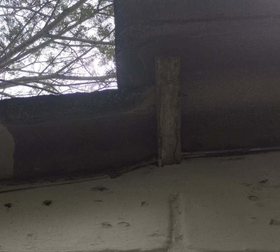 Los Colores Ecoparque主图