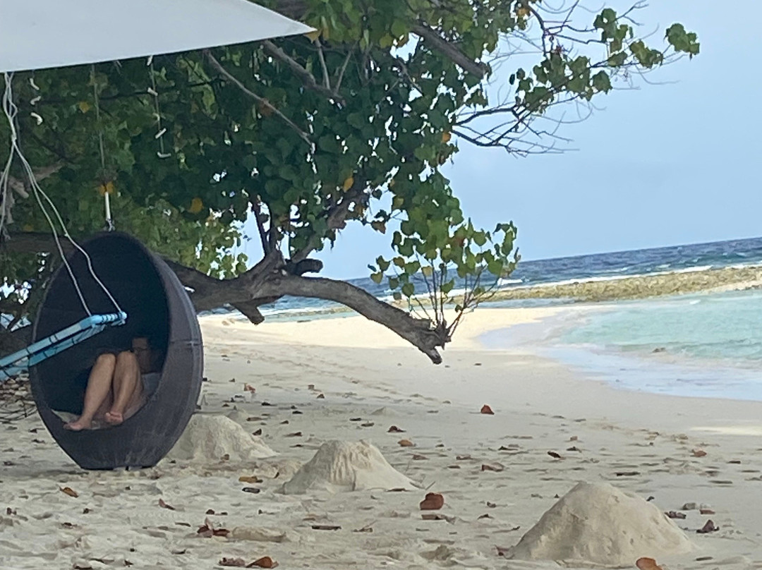 Dhamana Beach is located on the Sunrise Beach of Mahibadhoo, Maldives.主图