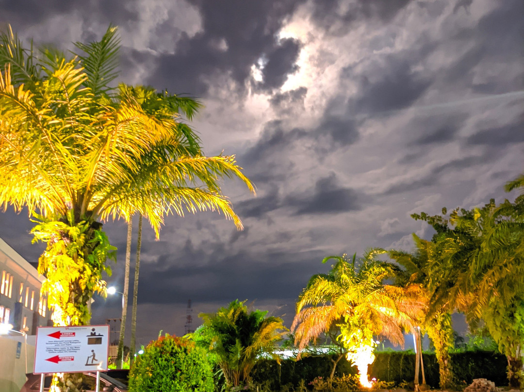 Swiss-Belhotel Danum Palangkaraya主图