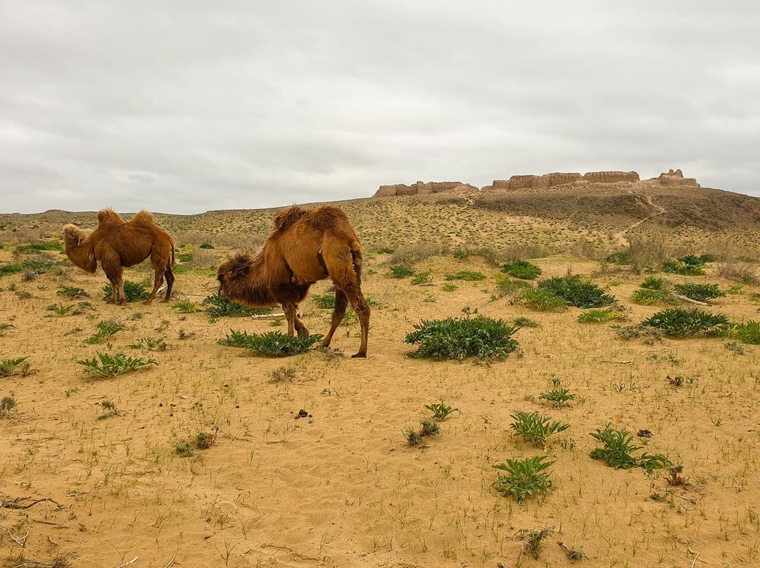 Central Asia Guide-比斯凯克必去景点