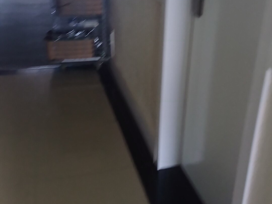 Swan Rio Grande主图