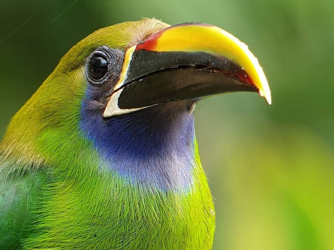 Johnny Loves Nature Eco Tours-蒙特沃德必去景点