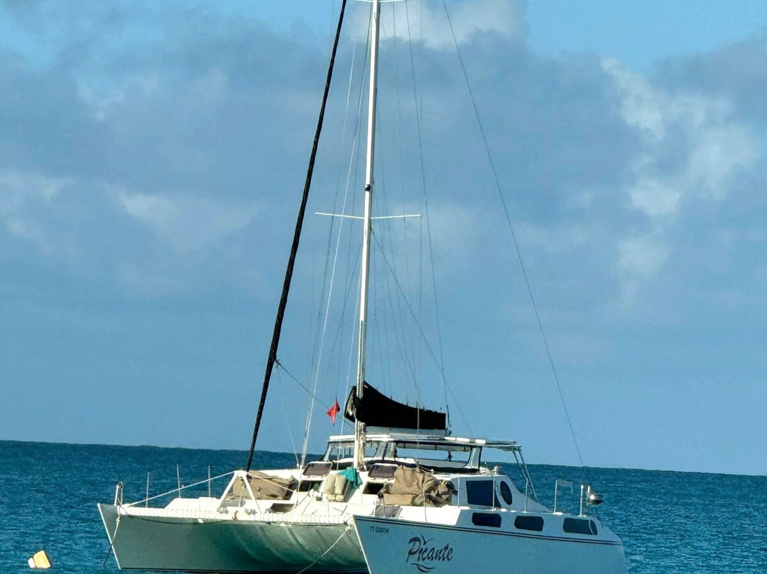 Sailing Catamaran Picante Private Day Tours-克朗波因特必去景点