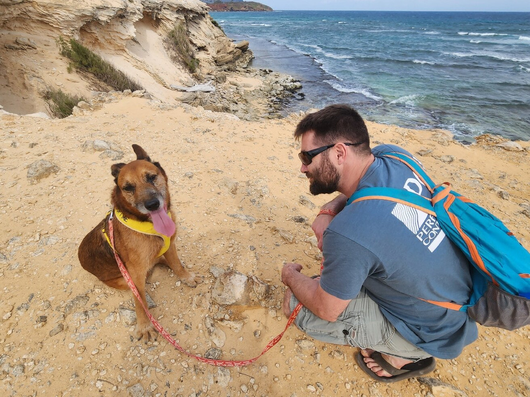 Kauai Humane Society-利胡埃必去景点