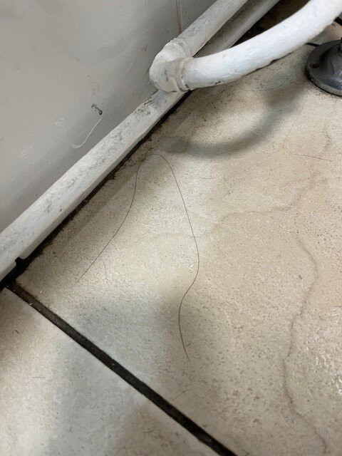 大教堂旅馆主图