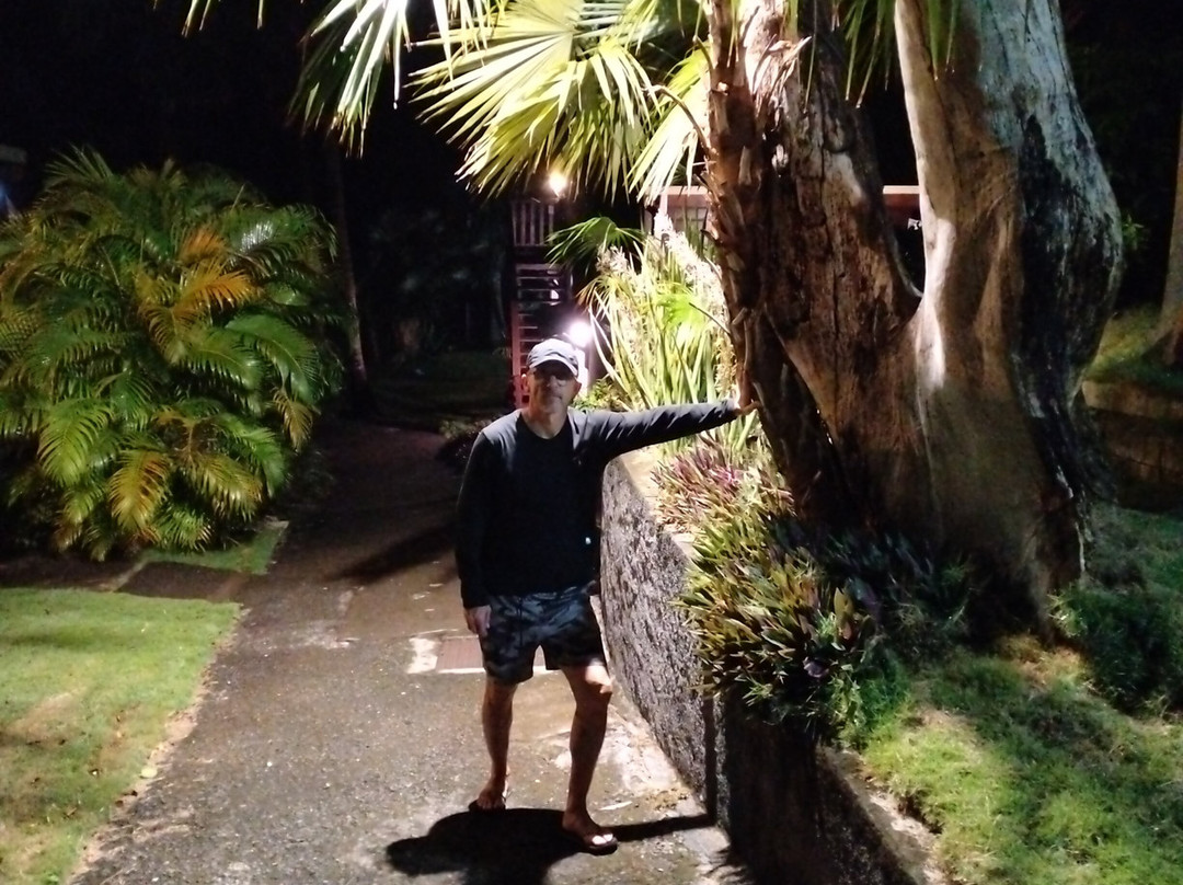 Ti'Village Creole主图